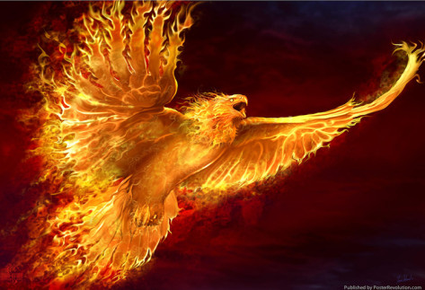 tom-wood-phoenix-rising-1